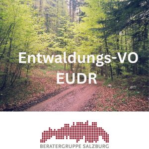 Bild zeigt Beratergruppe Salzburg Blogbeitrag EU-Entwaldungsverordnung EUDR
